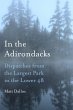 In the Adirondacks (eBook, ePUB) - Bild 1