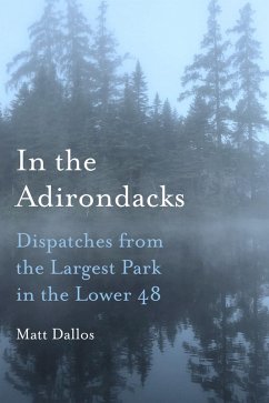 In the Adirondacks (eBook, ePUB) - Dallos, Matt