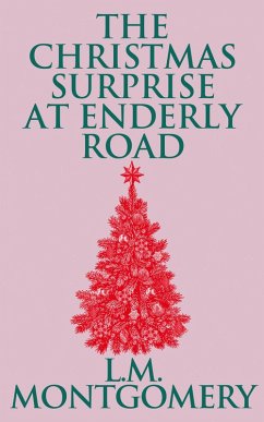 Cover The Christmas Surprise at Enderly Road (eBook, ePUB)