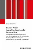 Soziale Arbeit in multiprofessioneller Kooperation (eBook, PDF)