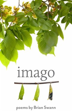 Cover Imago (eBook, ePUB)