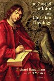 Gospel of John and Christian Theology (eBook, ePUB)