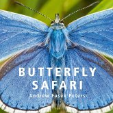 Butterfly Safari (eBook, ePUB)