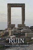 Ruin (eBook, ePUB)