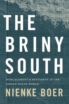 Briny South (eBook, PDF) - Nienke Boer, Boer