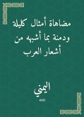 مضاهاة أمثال كليلة ودمنة بما أشبهه من أشعار العرب (eBook, ePUB)