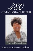 480 Codorus Street Book II (eBook, ePUB)
