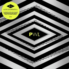 Pwl Extended:Big Hits&Surprises,Vol.2 - Various Artists