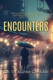 Encounters (eBook, ePUB)