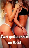 Zwei geile Lesben im Hotel (eBook, ePUB)