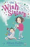 Big Wish (eBook, PDF) Big Wish (eBook, PDF)