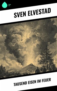 Cover Tausend Eisen im Feuer (eBook, ePUB)