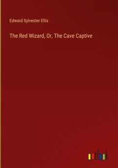 The Red Wizard, Or, The Cave Captive - Ellis, Edward Sylvester