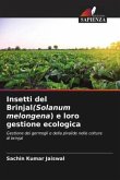 Insetti del Brinjal(Solanum melongena) e loro gestione ecologica