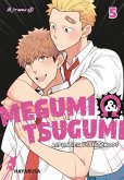 Megumi & Tsugumi - Alphatier vs. Hitzkopf 5 (eBook, ePUB)
