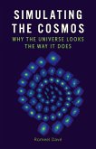 Simulating the Cosmos (eBook, ePUB)