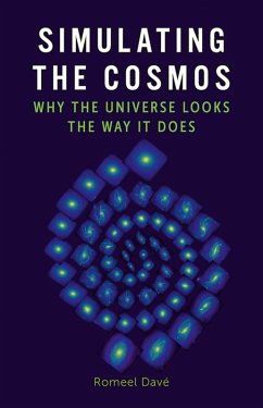 Cover Simulating the Cosmos (eBook, ePUB)