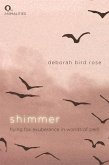 Shimmer (eBook, PDF)