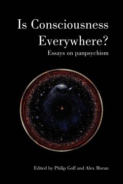 Is Consciousness Everywhere? (eBook, PDF) - Goff, Philip