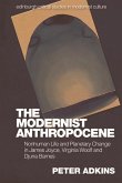 Modernist Anthropocene (eBook, PDF)