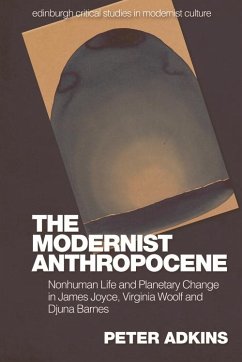 Cover Modernist Anthropocene (eBook, PDF)