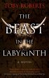 Beast in the Labyrinth (eBook, ePUB) - Bild 1