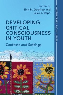 Cover Developing Critical Consciousness in Youth (eBook, PDF)