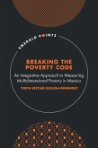 Breaking the Poverty Code (eBook, PDF)