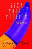 Sexy Short Stories Part 3 (eBook, PDF)