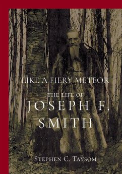 Like a Fiery Meteor (eBook, PDF) - Stephen C Taysom, Taysom