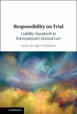Responsibility on Trial (eBook, PDF)