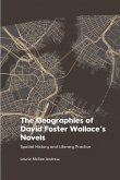 Geographies of David Foster Wallace's Novels (eBook, PDF)