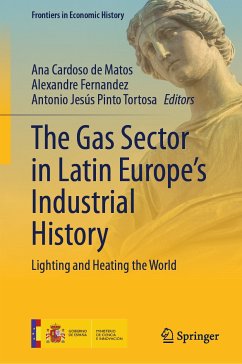 The Gas Sector in Latin Europe’s Industrial History (eBook, PDF)