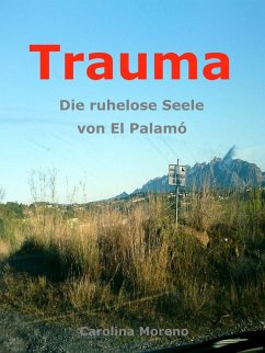 Cover Trauma (eBook, ePUB)