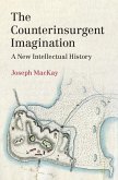 Counterinsurgent Imagination (eBook, PDF)