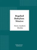 Bagdad Babylon Ninive (eBook, ePUB)