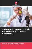 Salmonella spp na cidade de Valledupar, Cesar, Colômbia