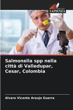 Salmonella spp nella città di Valledupar, Cesar, Colombia - Araujo Guerra, Alvaro Vicente