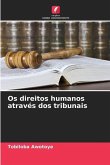 Os direitos humanos através dos tribunais