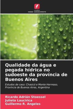 Qualidade da água e pegada hídrica no sudoeste da província de Buenos Aires - Stoessel, Ricardo Adrián;Laucirica, Julieta;Angeles, Guillermo R.