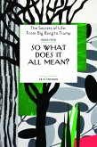 So What Does It All Mean? (eBook, ePUB)
