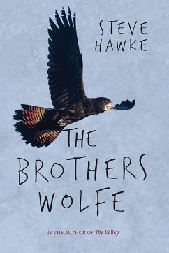 Brothers Wolfe (eBook, ePUB) - Hawke, Steve