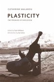 Plasticity (eBook, ePUB)