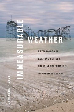 Cover Immeasurable Weather (eBook, PDF)