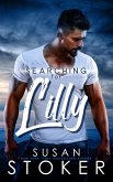 Searching for Lilly (Eagle Point Search & Rescue, #1) (eBook, ePUB)