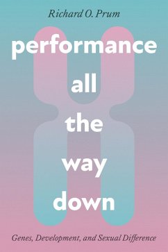 Cover Performance All the Way Down (eBook, PDF)