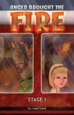Anger Brought The Fire (eBook, ePUB) Anger Brought The Fire (eBook, ePUB)