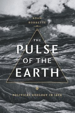 Cover Pulse of the Earth (eBook, PDF)