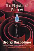 The Physics of Sorrow: A Novel (eBook, ePUB)