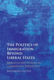 Politics of Immigration Beyond Liberal States (eBook, PDF)